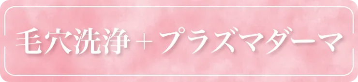 毛穴洗浄+プラズマダーマ